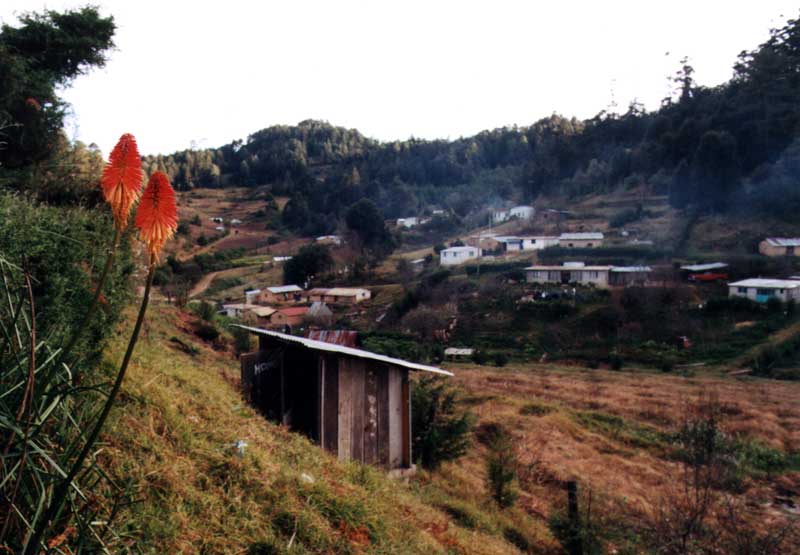 One of the mountain villages we passed through on our mountain bike ride.  Many of these villages are populated only by Zapotec Indians.  The Zapotecas are native Americans and populated the area before Spanish arrival.
