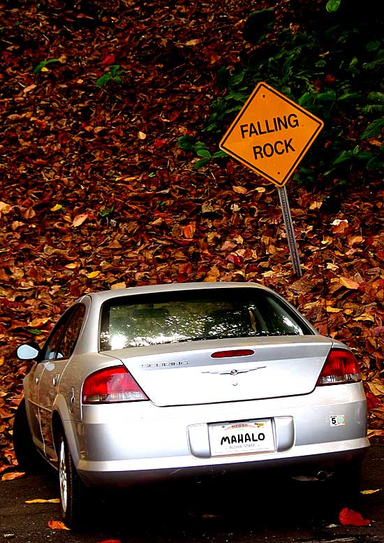 Maui Falling Rock Parking Spot