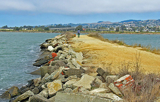 Point Isabel Dog Walk