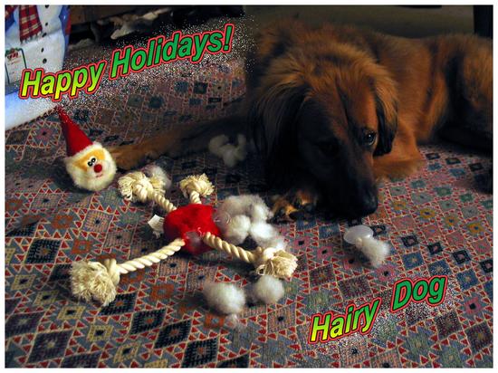 2006 Happy Holidays from Hairy Dog