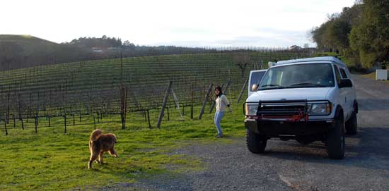 Wine Tasting at Joseph Swan Vineyards - Sonoma County