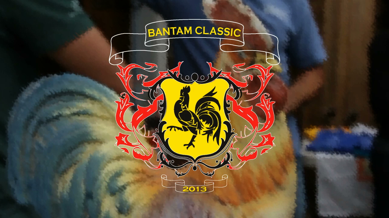 2013 Bantam Classic Video