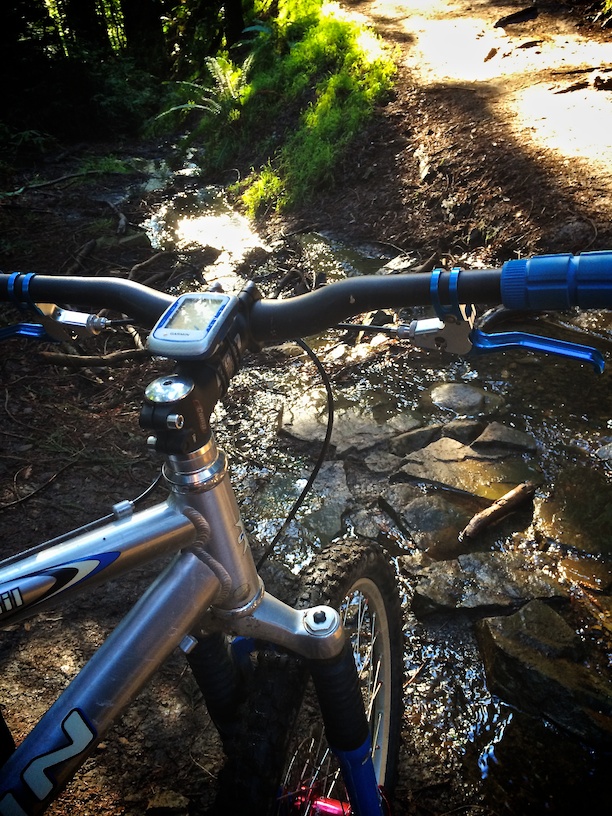 Sounds of Creeks Flowing in Joaquin Miller Park