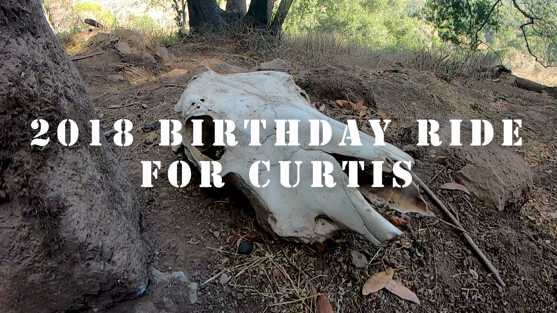 2018 Birthday Ride for Curtis